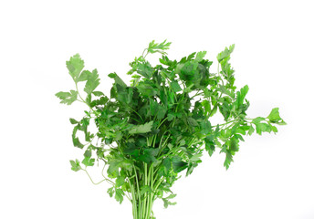 Bunch of parsley on a white.
