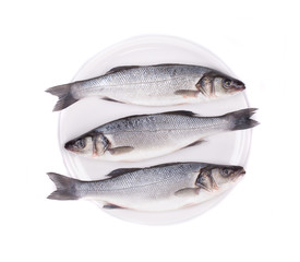 Three fresh seabass fish.