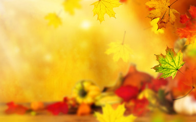Naklejka na ściany i meble Beautiful autumn background