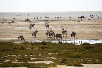 Panorama in Namibia, Africa