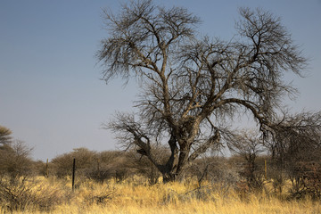 Panorama in Namibia, Africa