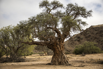 Panorama in Namibia, Africa