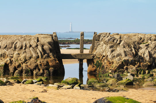 L'&eacute;cluse de la plage de la paracou