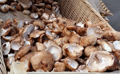 Champignons shiitake en vrac