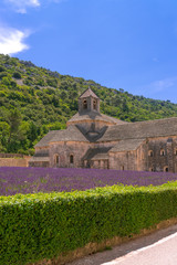 Monasteries of the Cistercian