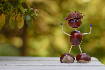 Chestnuts Toys - obrazy, fototapety, plakaty