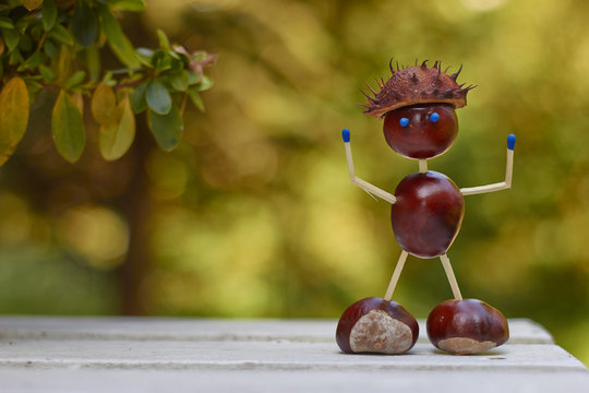 Chestnuts Toys