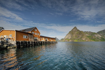 Norwegia , przetwórnia rybna, lofoty, krajobraz wiejski