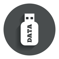 Usb Stick sign icon. Usb flash drive button.