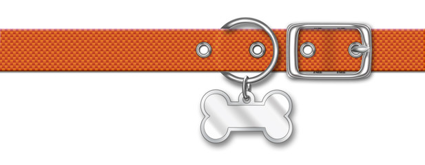 Orange Nylon Animal Collar With Tag