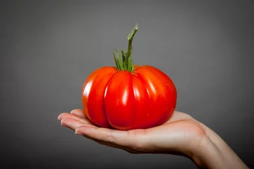 Fotobehang Tomato on hand © martinhlavacek79