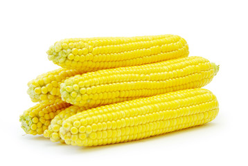  maize