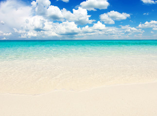 Fototapeta premium sea