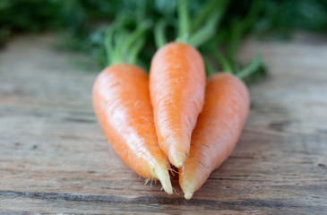 Three fresh carrots on old wooden desk