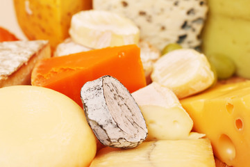 Various types of cheese