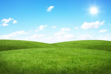 Fensteraufkleber Grünes Feld und blauer Himmel © sdecoret