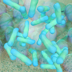 Shigella dysenteriae - 3d Render