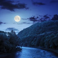 Foto op Plexiglas mountain river near the forest at night © Pellinni