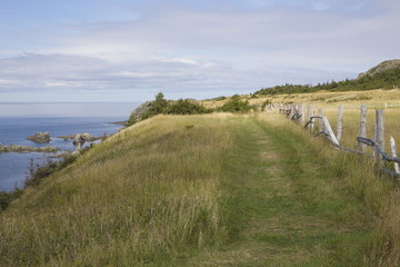 Hiking Trail Gros Morne Newfoundland