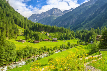 Naklejka na ściany i meble Amazing view of the beautiful valley with high peaks of the Alps