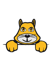 Katze süss niedlich lieb