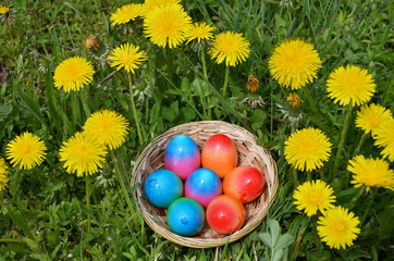 Easter eggs in the grass