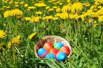 Fototapeta na wymiar Easter eggs in the grass