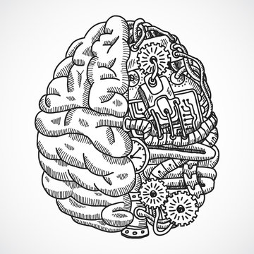 Brain as processing machine