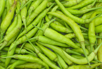 Green Peppers