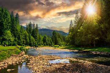 bos rivier met stenen in de bergen bij zonsondergang