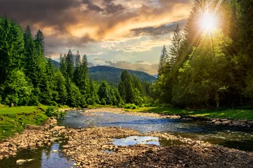 Wall murals Forest river forest river with stones in mountains at sunset