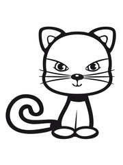 Katze süss niedlich