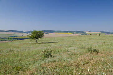 Fototapeta na wymiar Green fields - Beautiful village landscape in northern Bulgaria