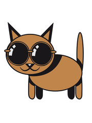 Katze süss lieb Sonnenbrille