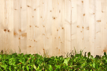 Garten mit Holzwand
