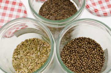frische Gewürze in Gläsern (Fenchel,Kümmel,Koriander)