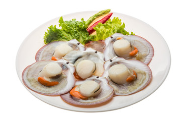 Raw fresh scallop