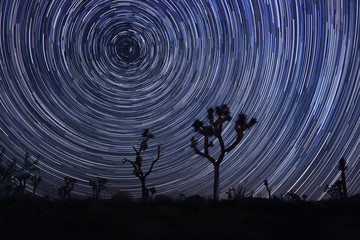 Star Trails and Milky Way in Joshua Tree National Park - 70174804