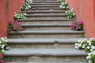 Flowers on stairs