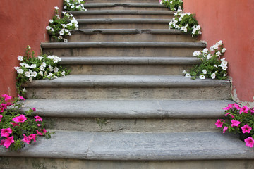 Fototapeta na wymiar Red and white flowers on old concrete stairs 