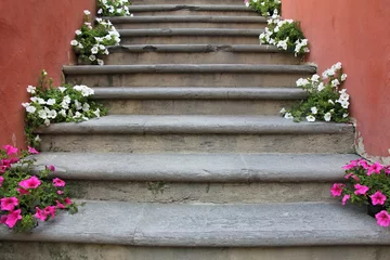 Papier Peint photo Escaliers Fleurs rouges et blanches sur de vieux escaliers en béton