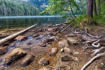 Obraz premium Glacial Black Lake surrounded by the forest