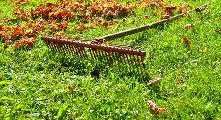 R&acirc;teau automnal