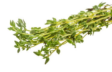 Thyme branch