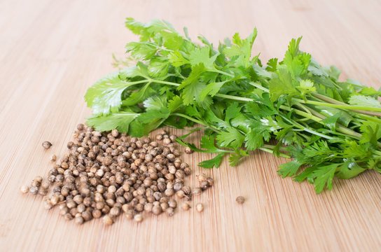 Coriander Leaves And Seeds - Cilantro - Fresh coriander leaves a