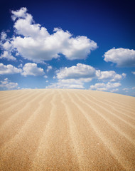 Fototapeta na wymiar Sand dunest in the Sahara Desert