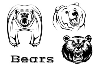 Angry grizzly bears characters
