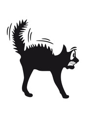Katze Angst Furcht erschrecken