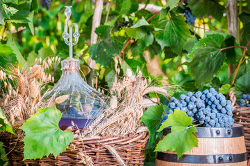 Grapes in a wooden barrel and a wicker basket