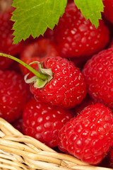 Ripe raspberry close up. Selective focus.